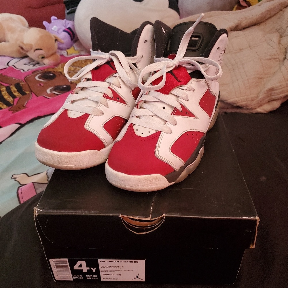 Jordan Carmine retro 6's